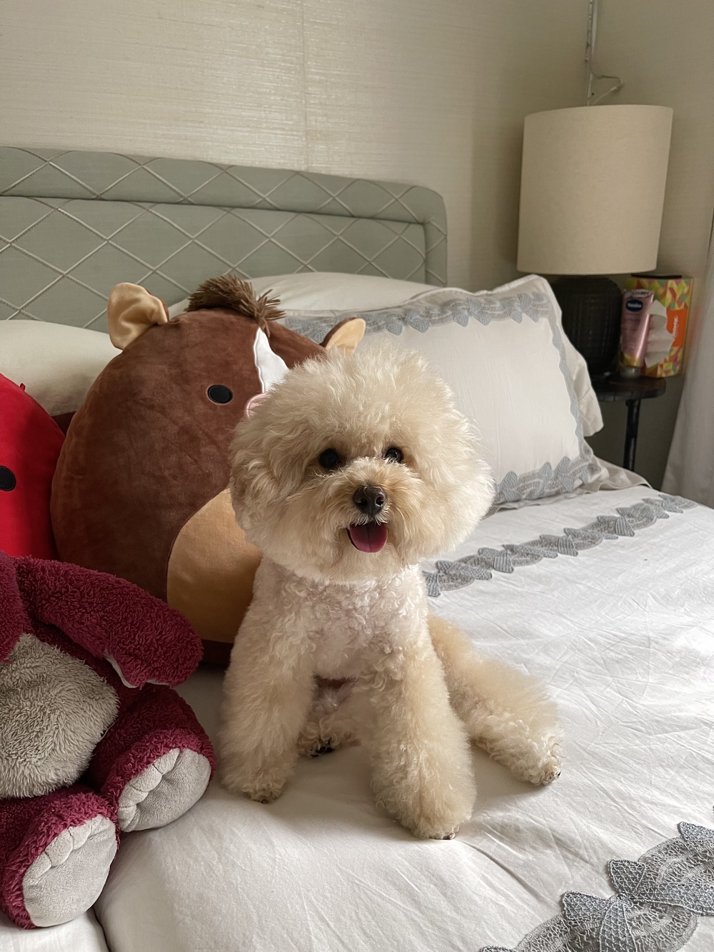 IMG_2957 - Phoebe Chen.jpeg